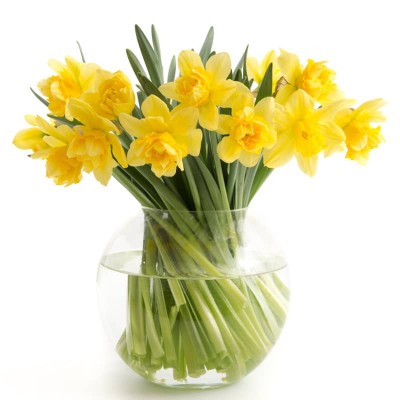 BOUQUET DE JONQUILLES "ABBY"