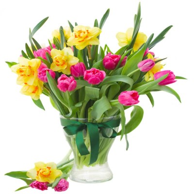 BOUQUET DE JONQUILLES MAUREEN