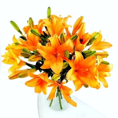 BOUQUET DE LYS ORANGES OREN