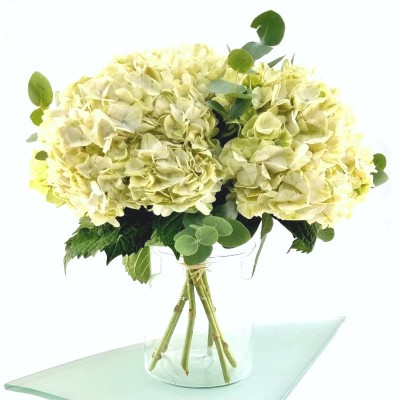 BOUQUET D'HORTENSIAS VERTS...