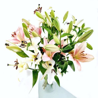 BOUQUET DE LYS JERRY
