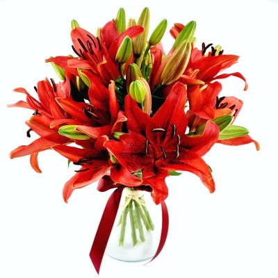 BOUQUET DE LYS ROUGES CHERRY
