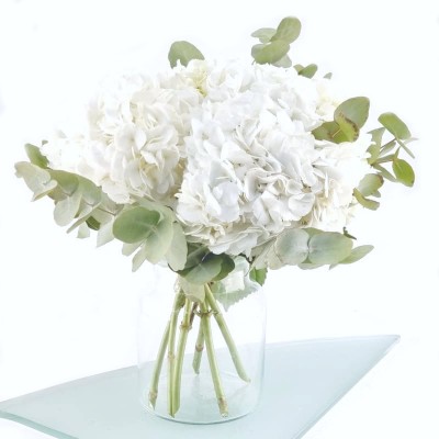 BOUQUET D'HORTENSIAS BLANCS...