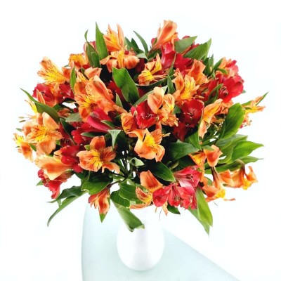 BOUQUET D'ALSTROEMERIAS SIENNA
