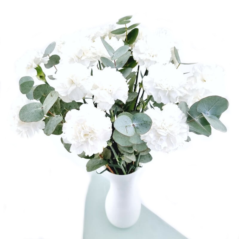 Mini oeillet blanc - livraison fleurs coupées